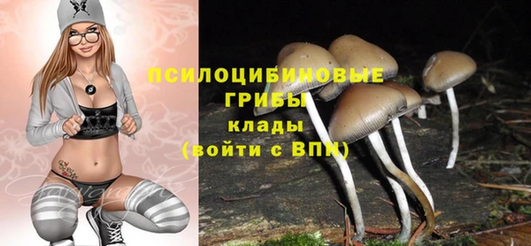 прущая мука Алзамай