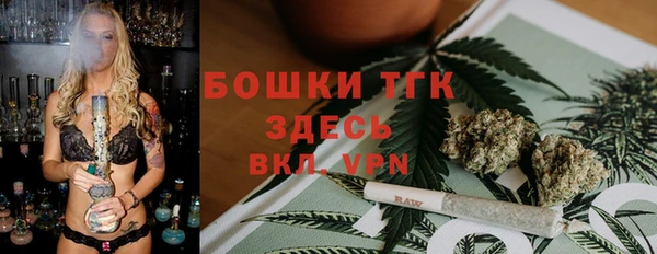 2c-b Ельня